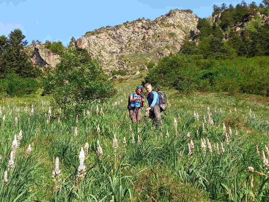 Montée des asphodèles Montée des asphodèles