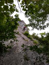 on redescend!! on redescend!!